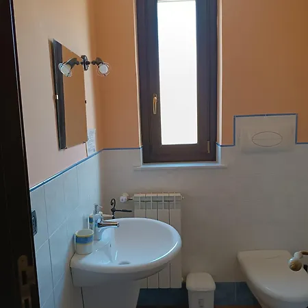 Abies Полицци-Дженероза