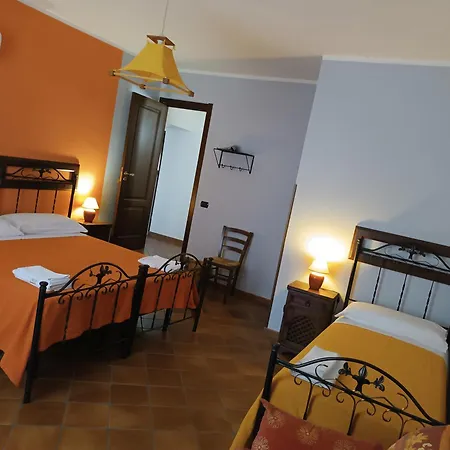 Abies Polizzi Generosa