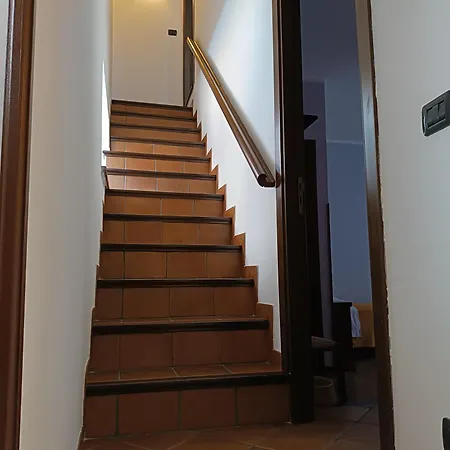 Abies Отель типа 