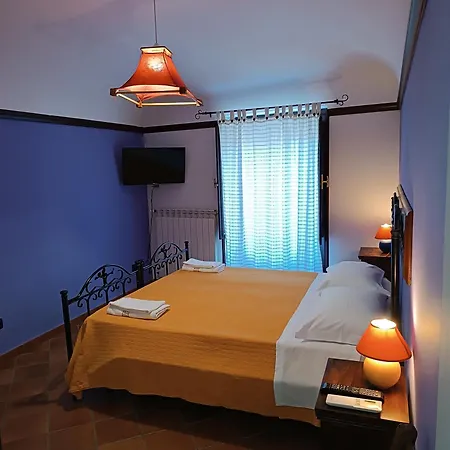 Abies Полицци-Дженероза