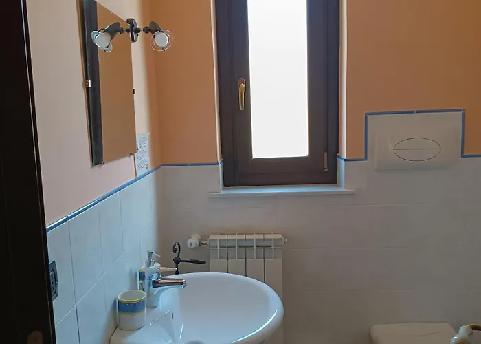 Abies 波利齐杰内罗萨