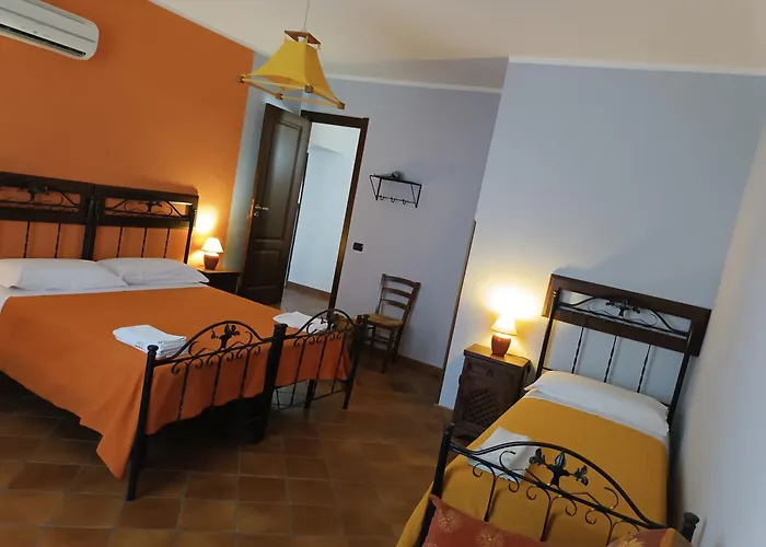 Abies 波利齐杰内罗萨