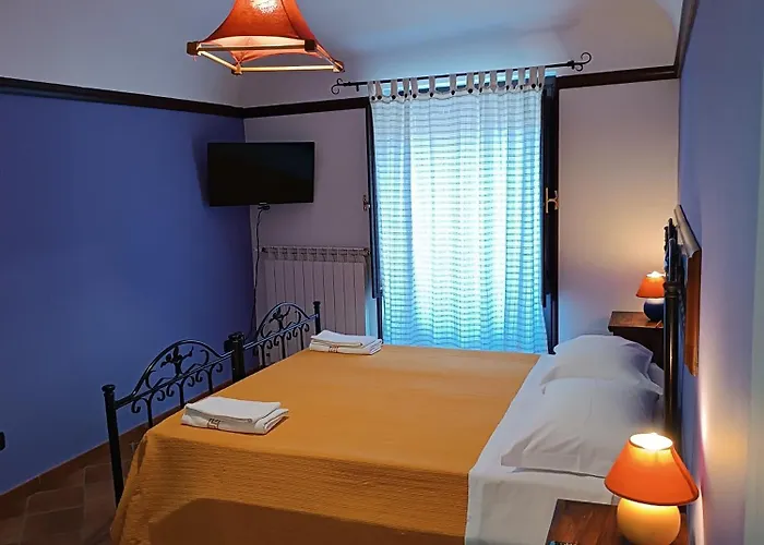 Abies 波利齐杰内罗萨